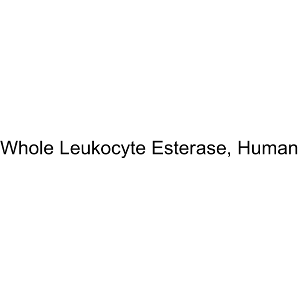 Whole Leukocyte Esterase, Human